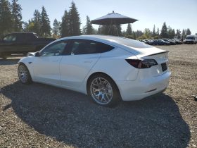 TESLA MODEL 3 LR DM, 2019