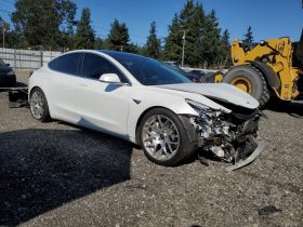 TESLA MODEL 3 LR DM, 2019