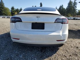 TESLA MODEL 3 LR DM, 2019
