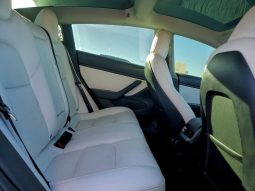 
TESLA MODEL 3 LR DM, 2021 (2020) full									