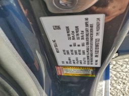 
TESLA MODEL 3 LR DM, 2021 (2020) full									