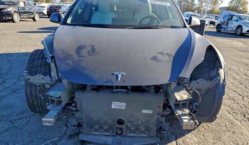 
TESLA MODEL 3 LR DM, 2021 (2020) full									