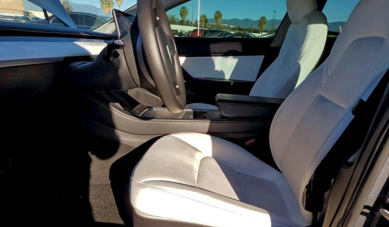 
TESLA MODEL 3 LR DM, 2021 (2020) full									