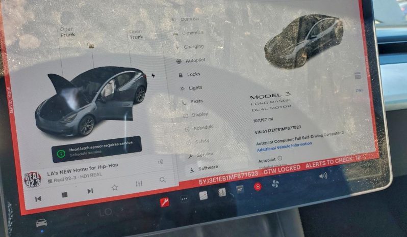 
TESLA MODEL 3 LR DM, 2021 (2020) full									