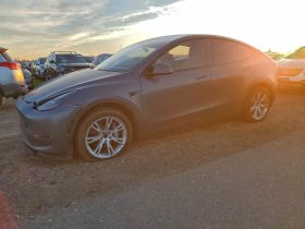 TESLA MODEL Y LR DM, 2021 (2020)