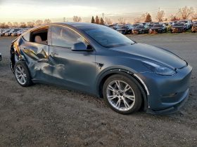 TESLA MODEL Y LR DM, 2021 (2020)