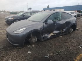 TESLA MODEL Y LR DM, 2021 (2020)