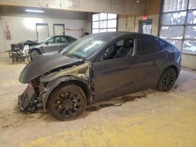 TESLA MODEL Y LR DM, 2020