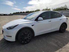 TESLA MODEL Y LR DM, 2022 (2021)