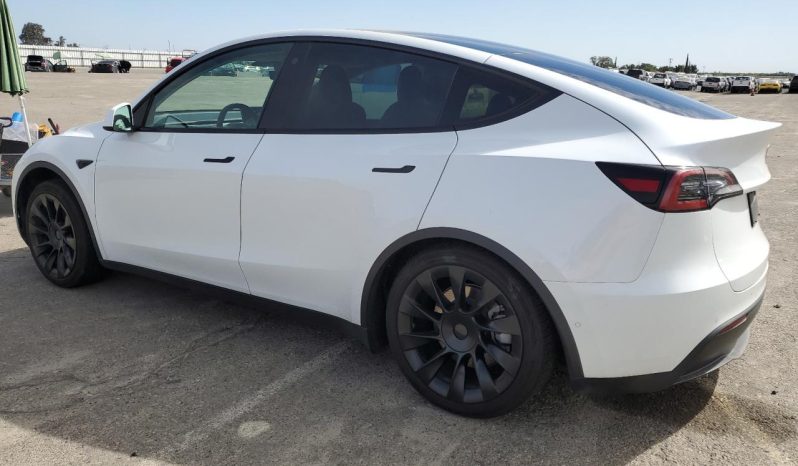 
TESLA MODEL Y LR DM, 2022 (2021) full									