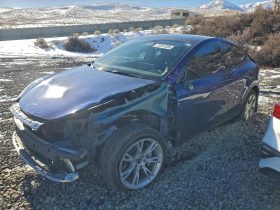 TESLA MODEL Y LR DM, 2023