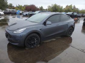 TESLA MODEL Y LR DM, 2021