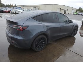 TESLA MODEL Y LR DM, 2021