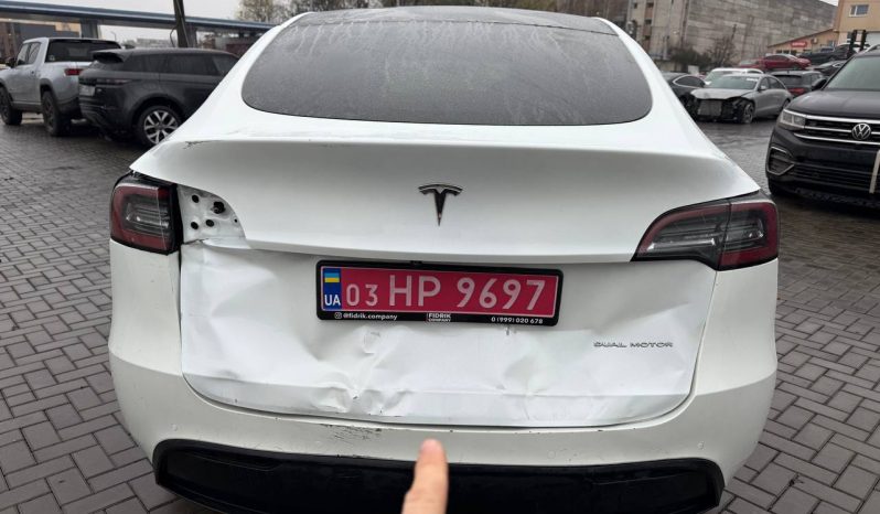 
TESLA MODEL Y LR DM, 2020 full									