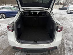 
TESLA MODEL Y LR DM, 2020 full									