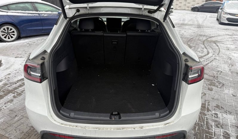 
TESLA MODEL Y LR DM, 2020 full									