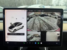 
TESLA MODEL Y LR DM, 2020 full									