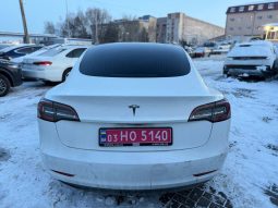 
TESLA MODEL 3 MR RWD, 2019 full									