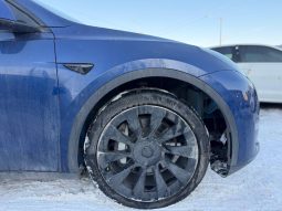 
TESLA MODEL Y LR DM, 2022 full									