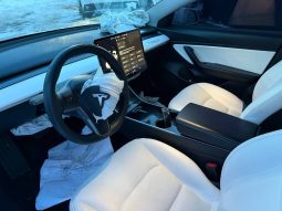 
TESLA MODEL 3 MR RWD, 2019 full									