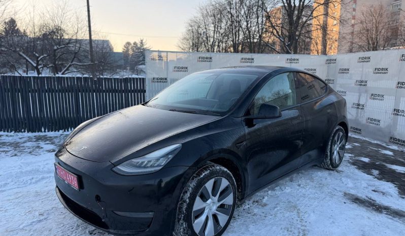 
TESLA MODEL Y LR DM, 2021 (2020) full									