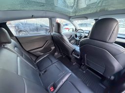 
TESLA MODEL Y LR DM, 2021 (2020) full									