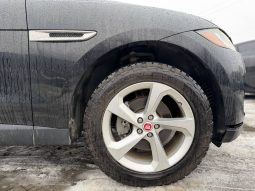 
JAGUAR F-PACE PREMIUM, 2019 (2018) full									