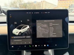 
TESLA MODEL Y LR DM, 2020 full									