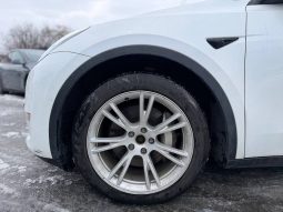 
TESLA MODEL Y LR DM, 2020 full									