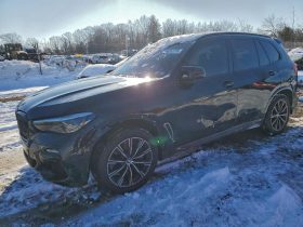 BMW X5 M50I, 2020 (2019)