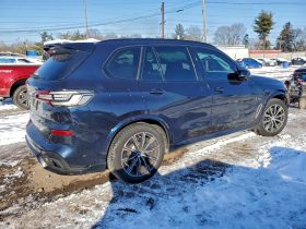 BMW X5 M50I, 2020 (2019)