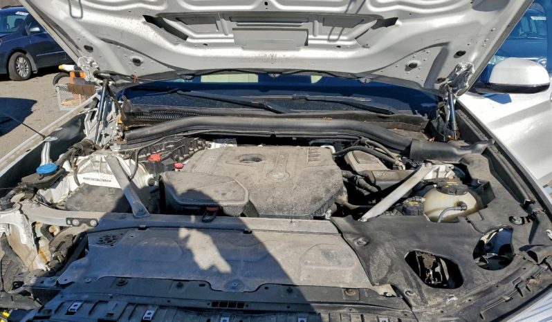 
BMW X3 XDRIVE30I, 2019 (2018) full									