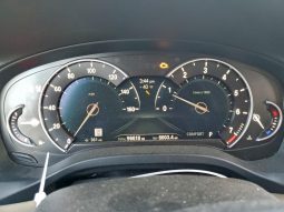 
BMW X3 XDRIVE30I, 2019 (2018) full									