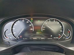 
BMW X3 SDRIVE30I, 2020 (2019) full									