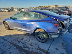 TESLA MODEL 3 LR DM, 2021 (2020)