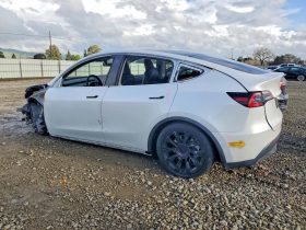 TESLA MODEL Y LR DM, 2021 (2020)