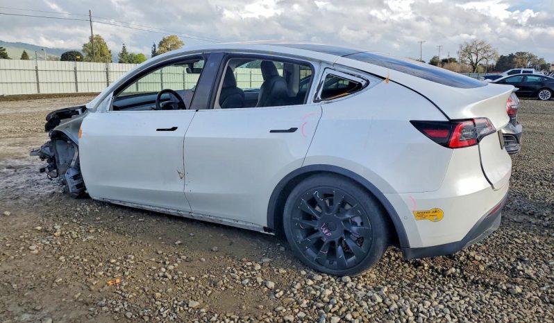 
TESLA MODEL Y LR DM, 2021 (2020) full									