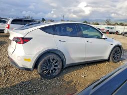 
TESLA MODEL Y LR DM, 2021 (2020) full									