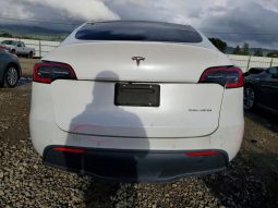 
TESLA MODEL Y LR DM, 2021 (2020) full									