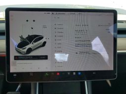 
TESLA MODEL Y LR DM, 2021 (2020) full									
