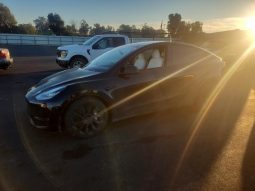 
TESLA MODEL Y LR DM, 2021 (2020) full									