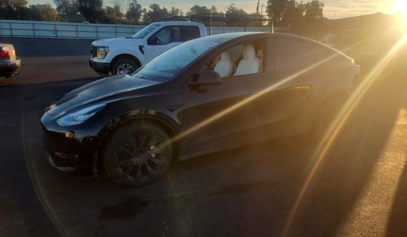 
TESLA MODEL Y LR DM, 2021 (2020) full									