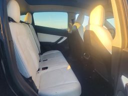 
TESLA MODEL Y LR DM, 2021 (2020) full									