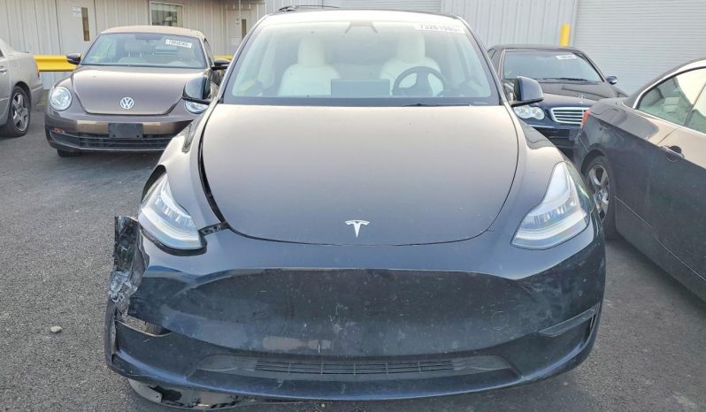 
TESLA MODEL Y LR DM, 2021 (2020) full									