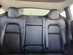 
TESLA MODEL Y LR DM, 2020 full									