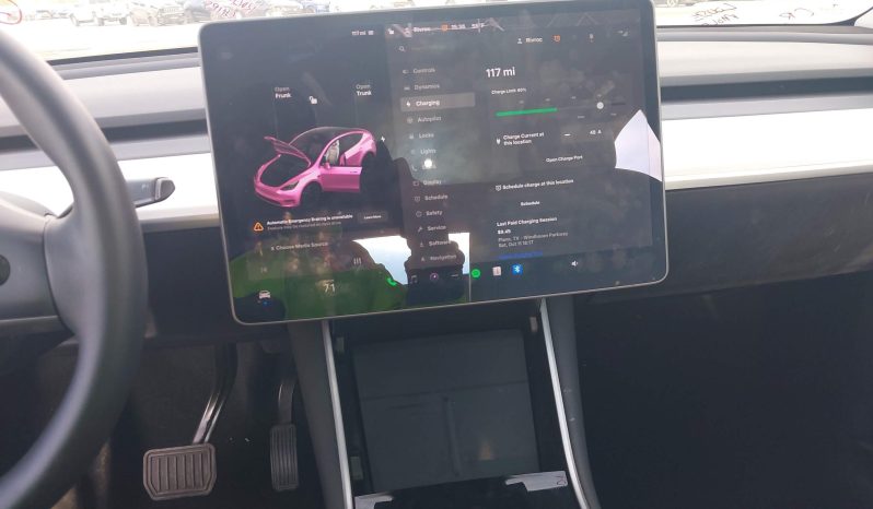 
TESLA MODEL Y LR DM, 2020 full									