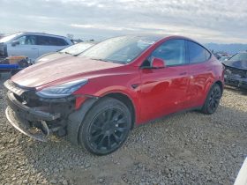 TESLA MODEL Y LR DM, 2022 (2021)