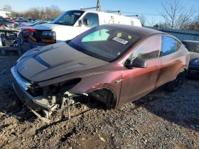 TESLA MODEL Y LR DM, 2023