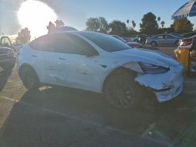 TESLA MODEL Y PERFORMANCE, 2022 (2021)