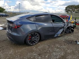 TESLA MODEL Y PERFORMANCE, 2022